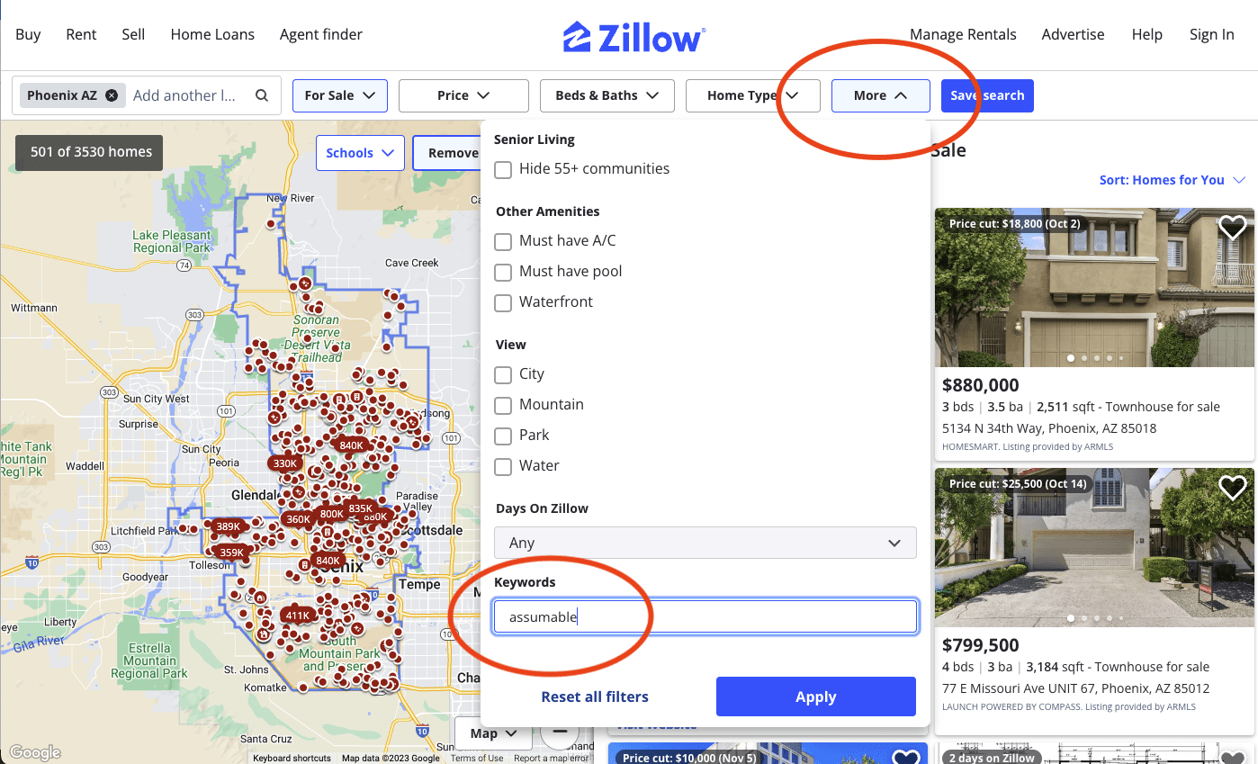 A screenshot of an example of how to search for assumable mortgages in a listings website