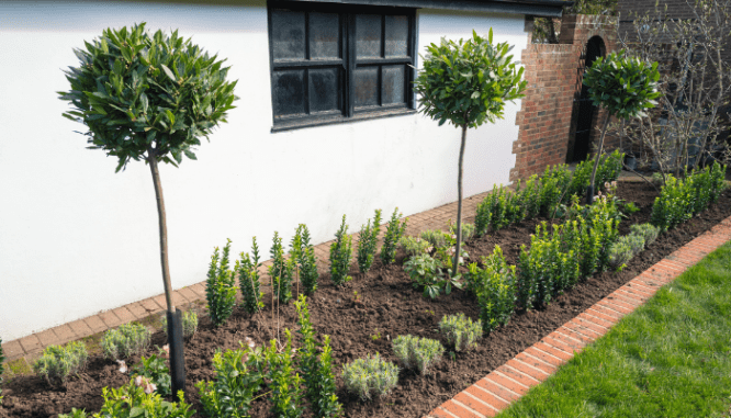 A flower bed in front of a house that was prepped for sale.