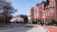 View of a neighborhood in Washington, D.C., where homeowners may be interested in utilizing the services of a we buy houses company