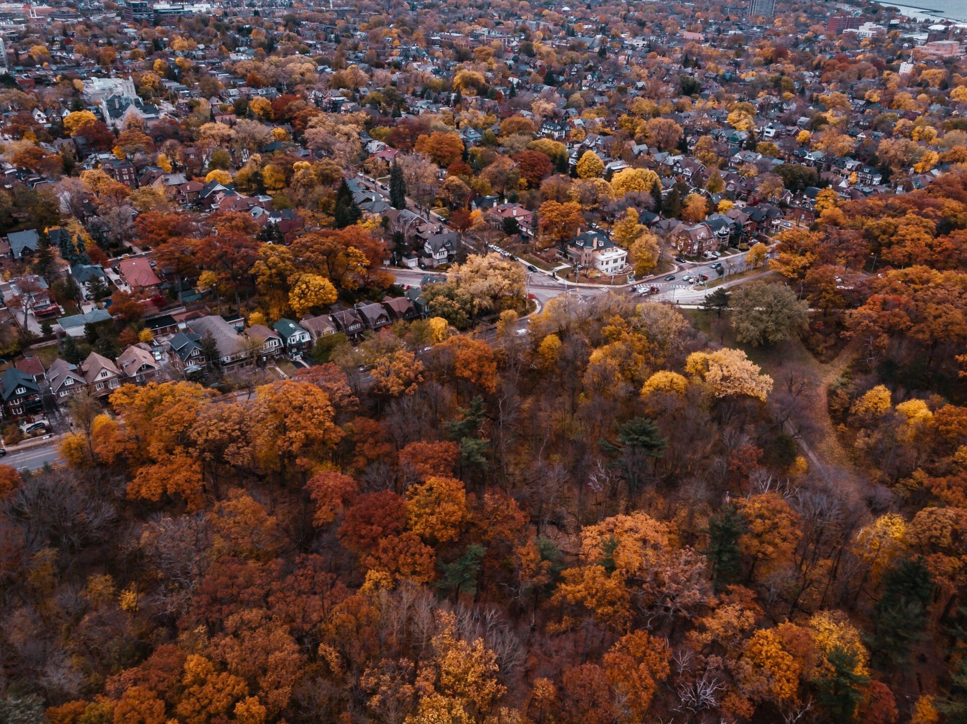Aerial view of a suburban area with fall foliage